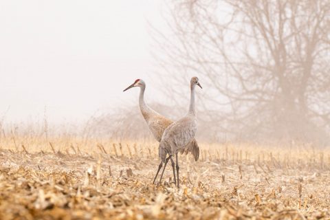 Photography by Katie Fellows.